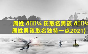 周姓 🌼 氏取名男孩 🌾 (周姓男孩取名独特一点2021)